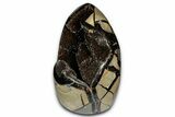 Free-Standing, Polished Septarian Geode - Black Crystals #348950-2